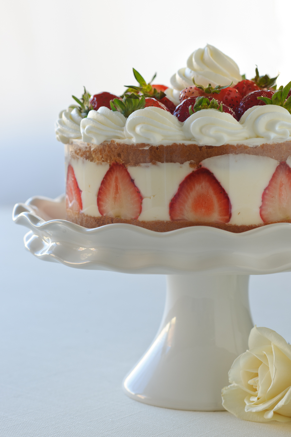 Strawberry Whipped Cream Torte